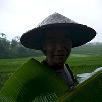 Photo de Bali - Balade, Garuda et spectacle